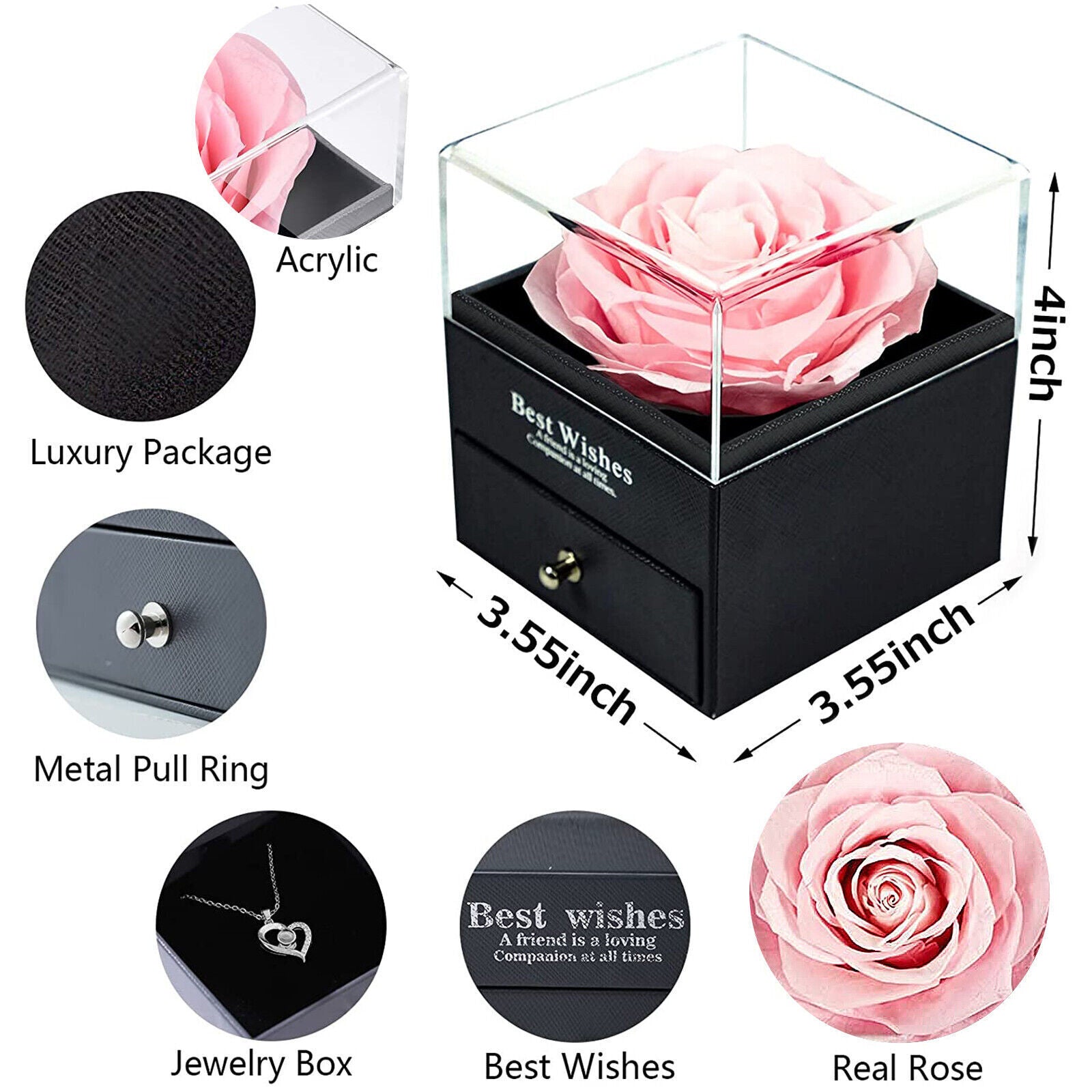 Eternal Preserved Real Rose Gift Box with Necklace I Love You in 100 Languages