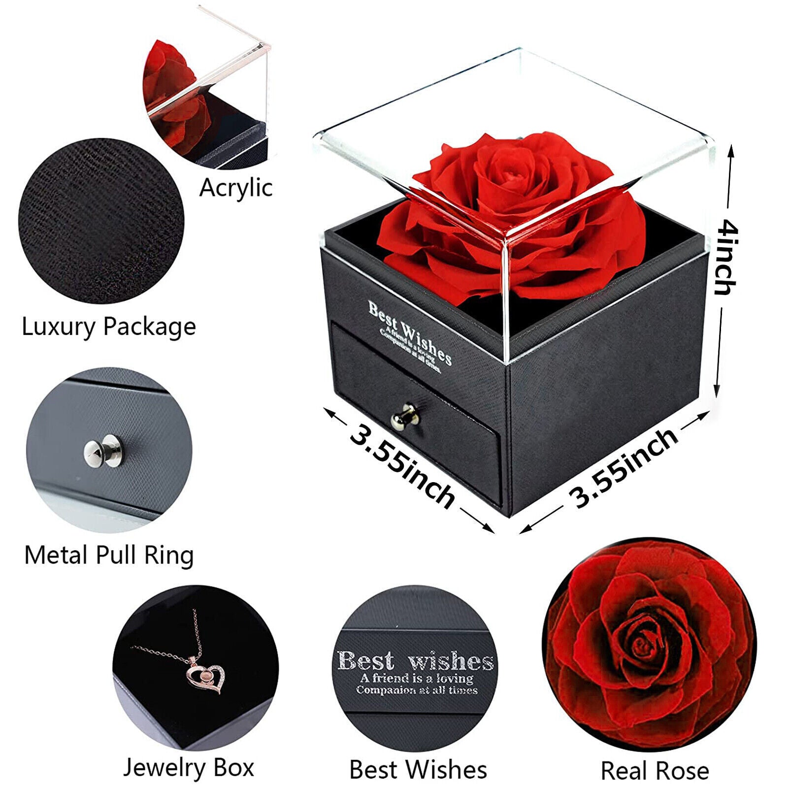 Eternal Preserved Real Rose Gift Box with Necklace I Love You in 100 Languages